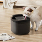 Pet Water Fountain With Filter